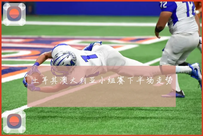 土耳其澳大利亚小组赛下半场走势
