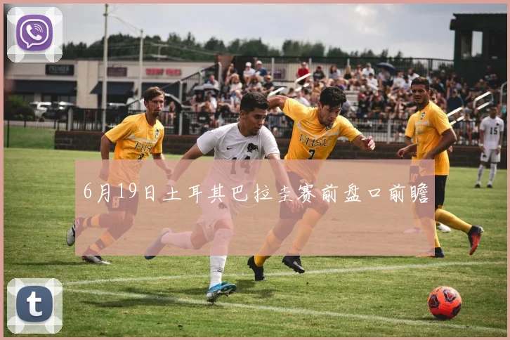 6月19日土耳其巴拉圭赛前盘口前瞻