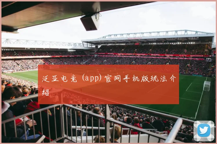 泛亚电竞 (app)官网手机版玩法介绍