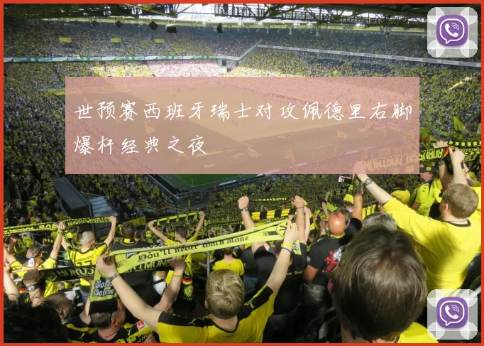 世预赛西班牙瑞士对攻佩德里右脚爆杆经典之夜