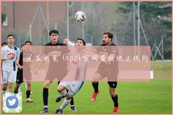 泛亚电竞 (app)官网最新玩法规则