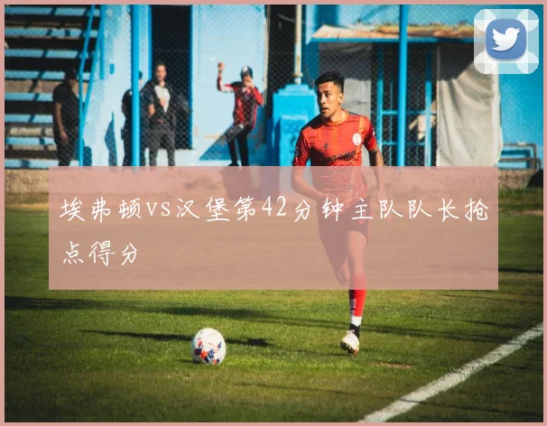 埃弗顿vs汉堡第42分钟主队队长抢点得分