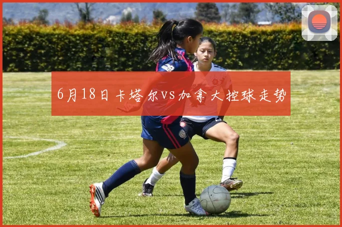 6月18日卡塔尔vs加拿大控球走势